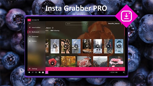 instagrabber-s 1