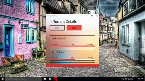 manager-for-torrent 2