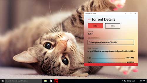 manager-for-torrent 3