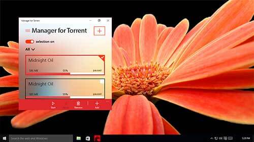 manager-for-torrent 4