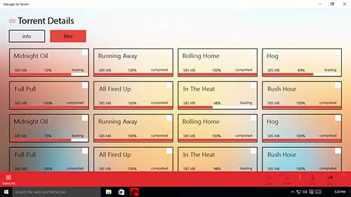 manager-for-torrent 5