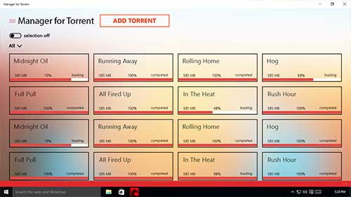 manager-for-torrent 8